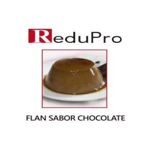 ReduPro Flan chocolate 1 sobre
